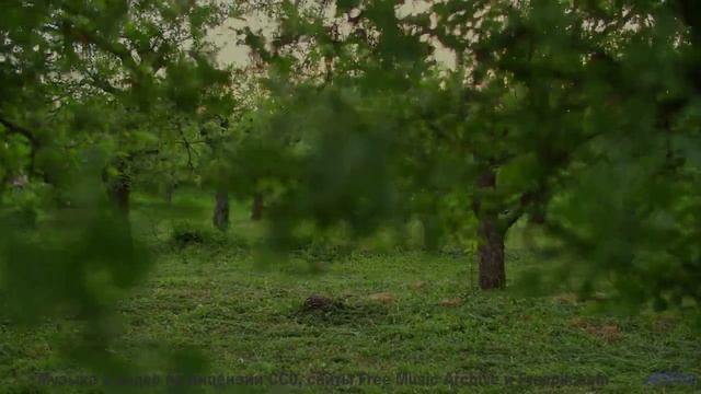 Эти виды и звуки вскружат голову - 05 Chapter Five - (Not) The Marian Kind  Kidnapped! -- Nutmeg --