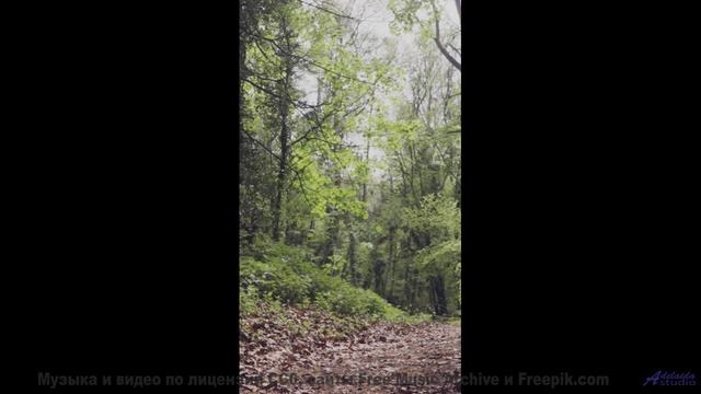 Этот трек - как компас в мире зелёных чудес! - Somewhere Between Emotions -- Kirk Osamayo -- Season