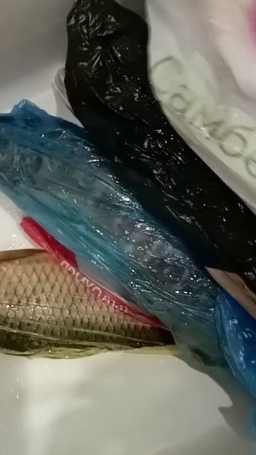 Готовлю рыбу к копчению