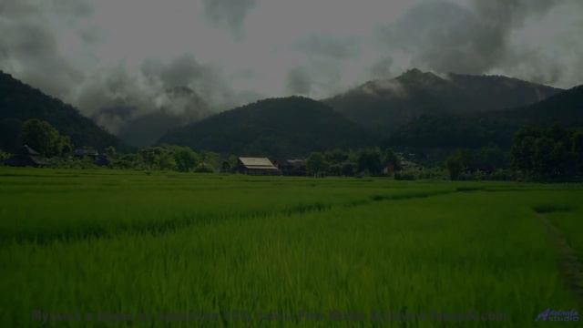 Музыка, которая рисует картины природы - 20 Minute Meditation 11 -- HoliznaCC0 -- Space - Sleep - Me
