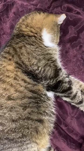 Вот такое наше лето🙀