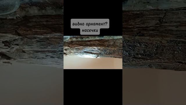 Бивень и его расчистка