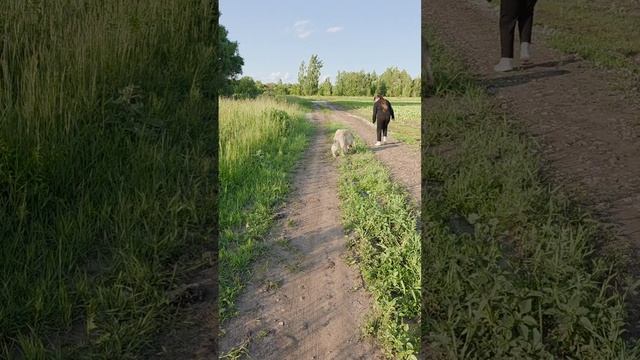 Прогулка около леса с Тимошей