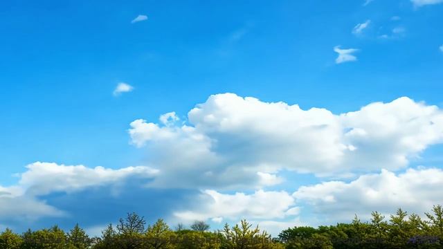 Это видео - как новогоднее чудо в ваших наушниках! - Petit soldat -- God is gay -- Tourne pour rien