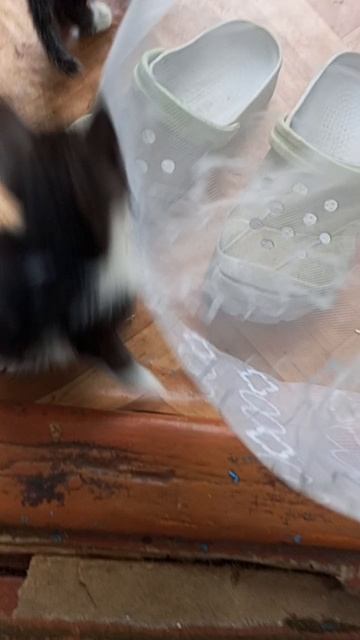 1000001654.mp4