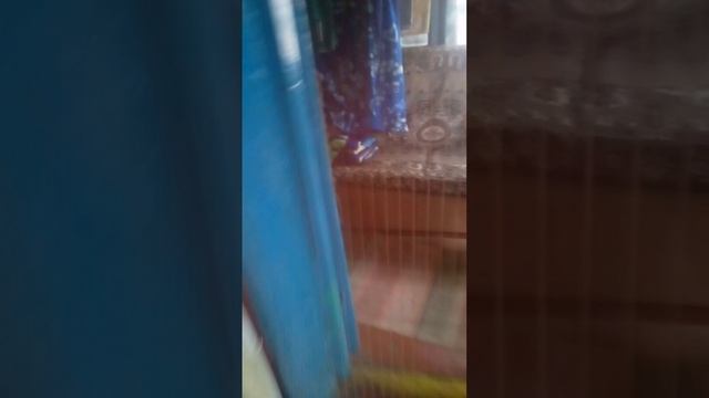 го в прятки