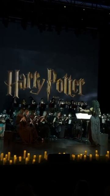 NELLA MUSICA ORCHESTRA «Гарри Поттер и СимфоМультимедия»