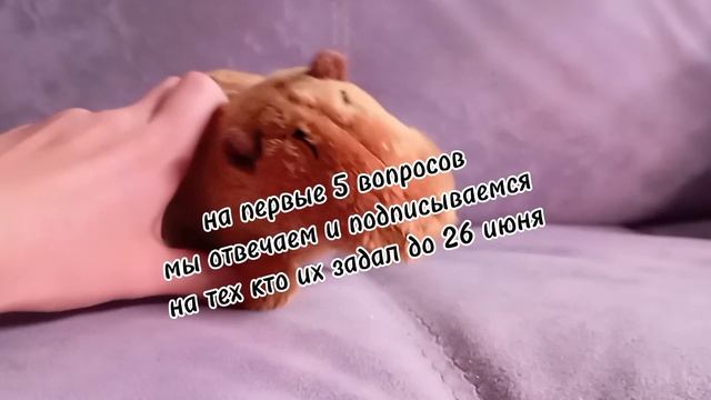 вопрос ответ 2 часть надеюсь получится