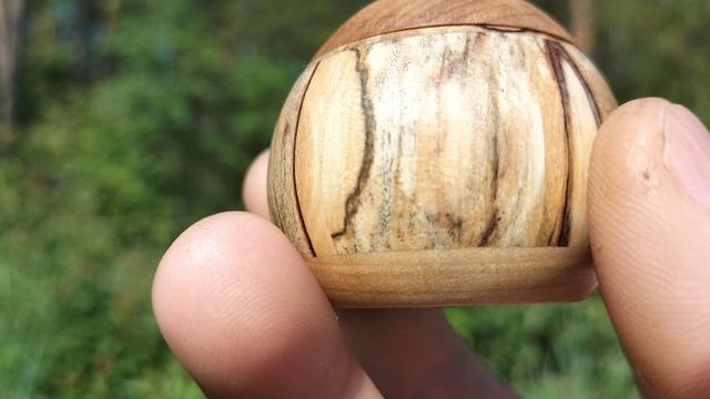 Шкатулка в июньском лесу на сосне с колокольчиками