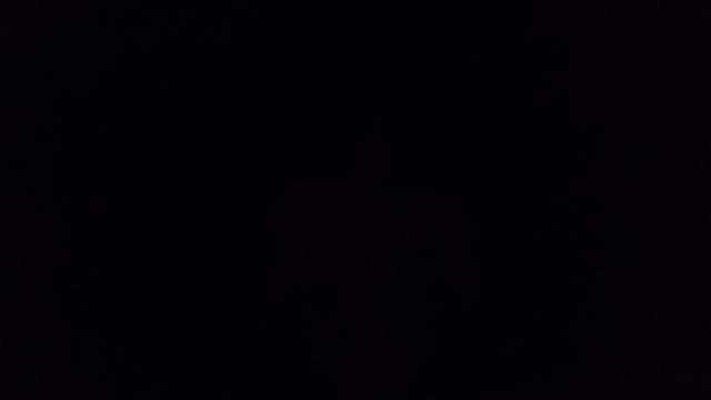 VID20250621195355.mp4