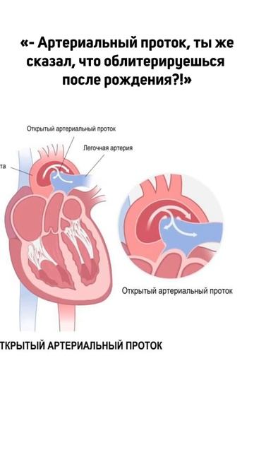 Он должен был закрыться после рождения… но остался открытым.