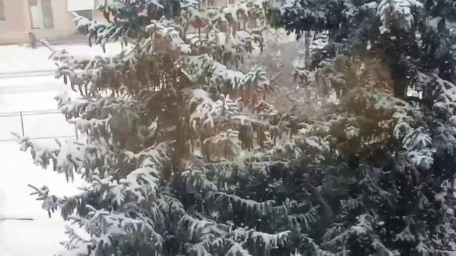 Две снежинки