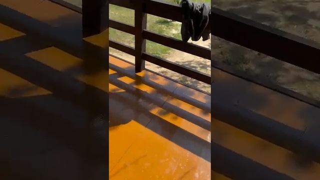 Каркасный дом Михаил - видео от клиента