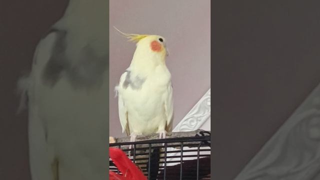 1000073839.mp4