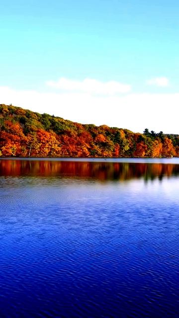 В объективе — настоящее волшебство