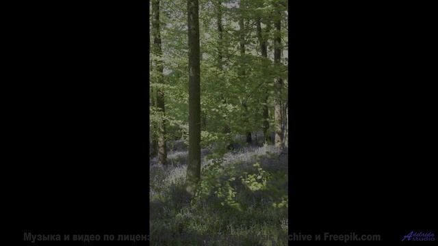 Эта музыка превращает любой отель в романтическое убежище - E-Musik -- Phillip Gross -- Quart
