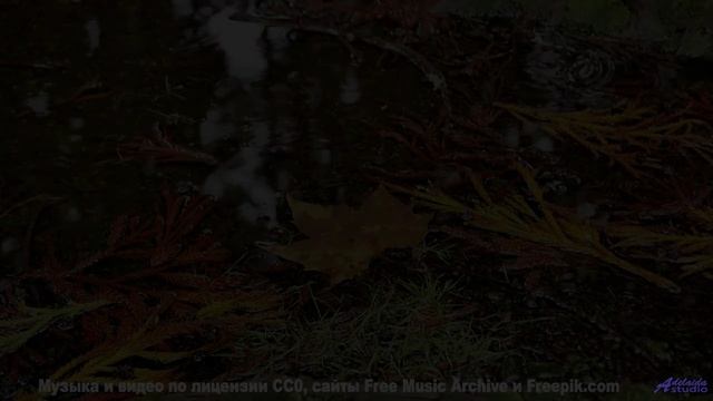 Этот бит бьёт сильнее, чем волны о скалы! - Carefree Morning -- Scott Holmes Music -- Inspiring Back