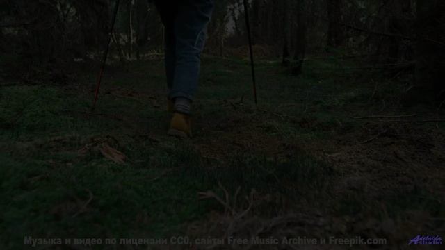 Звуки текут по венам вместе с реками и лесами - Illumination -- Siddhartha -- The Truth Within