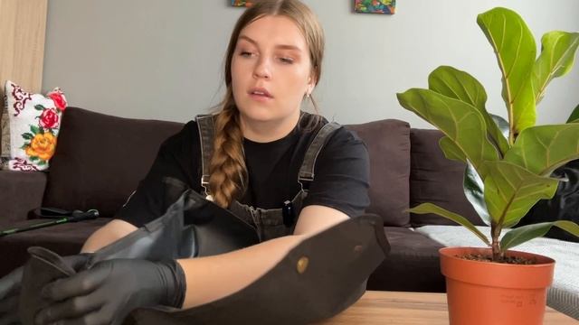 ОБЗОР цветочных покупок, МОЯ КОЛЛЕКЦИЯ, пересадки 🌱🪴