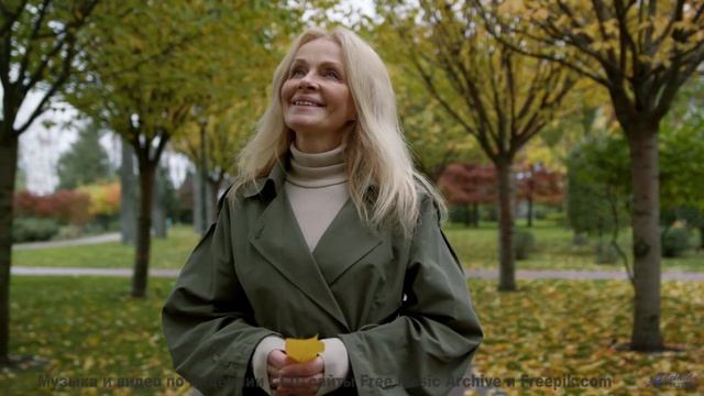 Музыка, которая делает каждый поворот маршрута поцелуем судьбы - Night Lily -- Kirk Osamayo -- Seaso