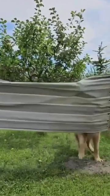 И как на эту ерунду залезть