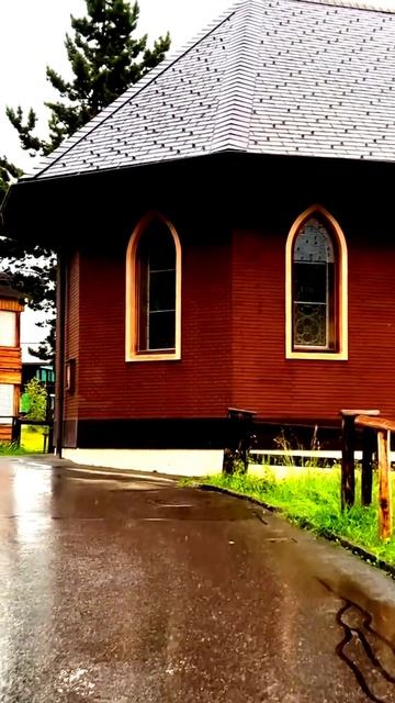Камера в центре событий