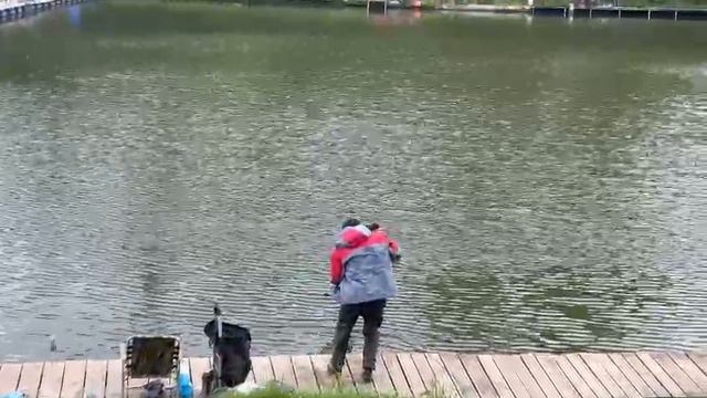 Осётр