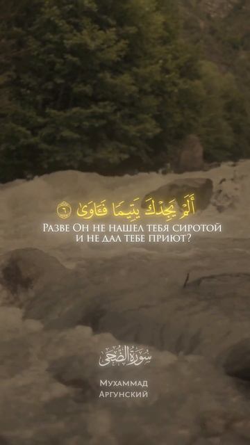 Сура 93 Ад-Духа. Мухаммад Аргунский аш-Шишани