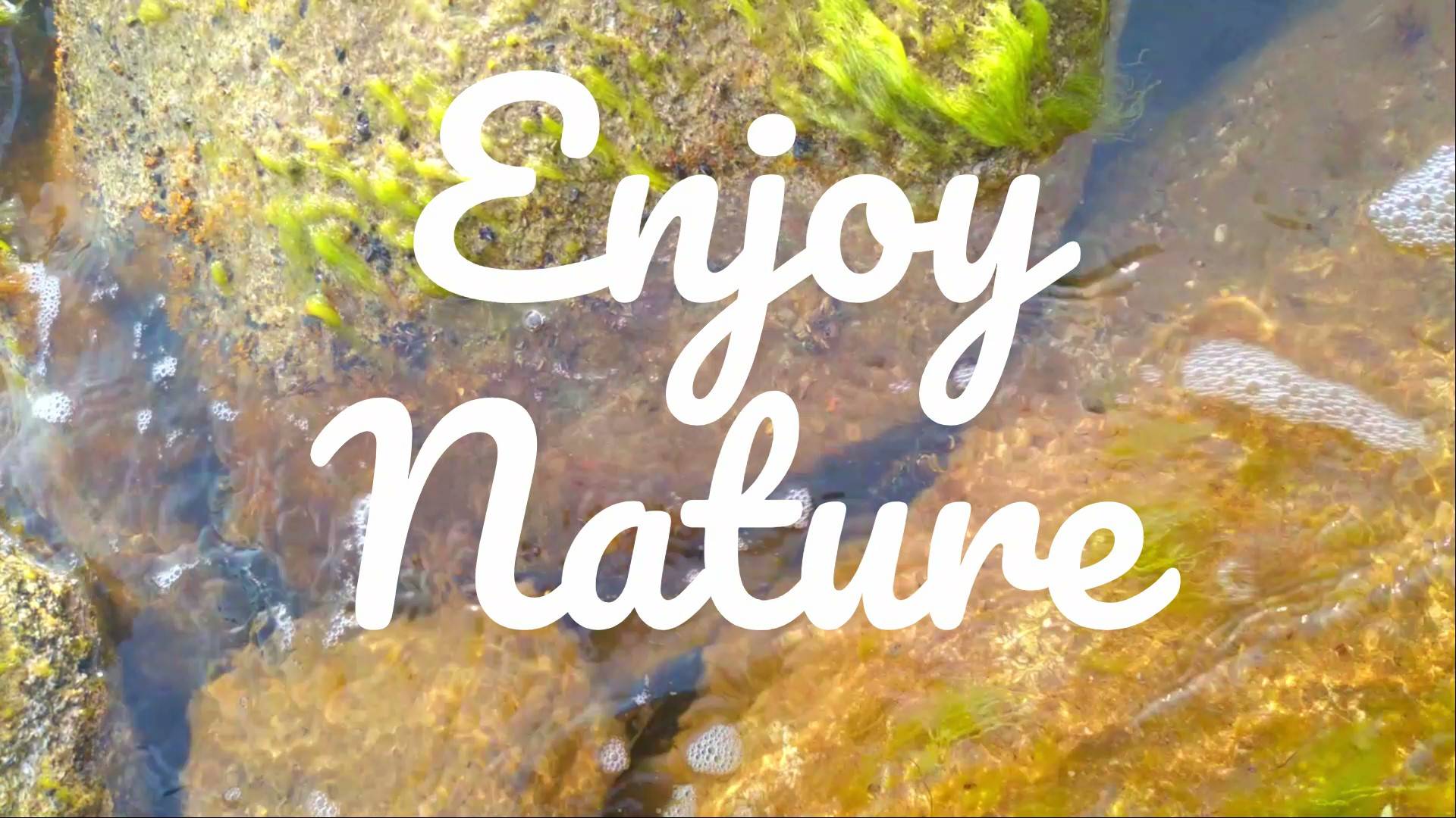 Enjoy nature
