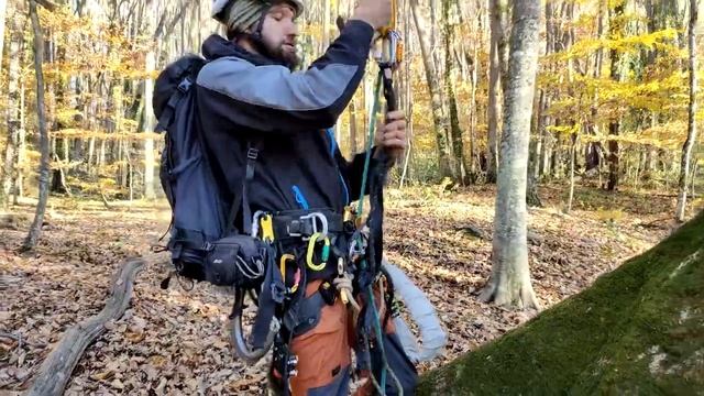 Экспедиция в рамках проекта "Гигантские деревья Кавказа". Обьект: Дуб Черешчатый : СBH 515cm, H: 41m