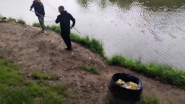 Карп на кукурузу