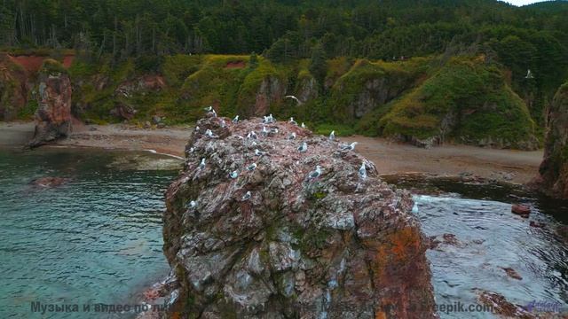 Горы, которые поют о любви - слушайте их голос! - starfish -- los pilotos -- starfish