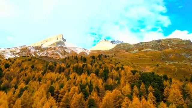 Изумрудные звуки пробуждающегося горного леса — Часть 4