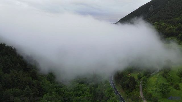 Поляны дышат, пока мелодия ведёт вас за собой - The Whales Bay -- Omura -- The Whales Bay