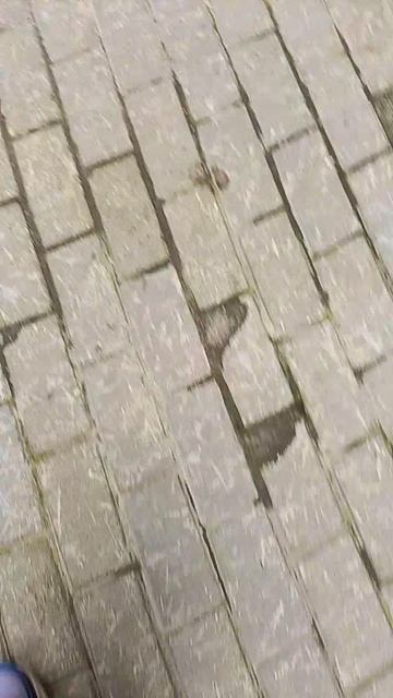шагаем в магазинчик