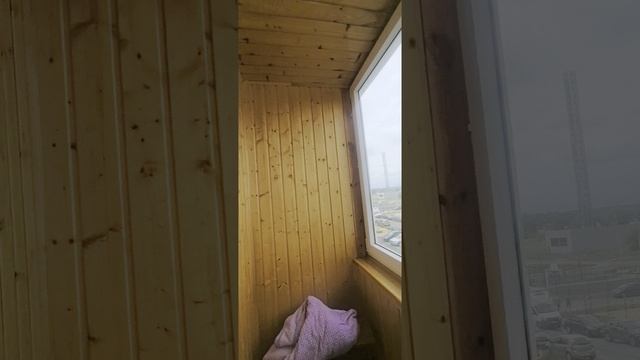 VID_20250618_143423.mp4