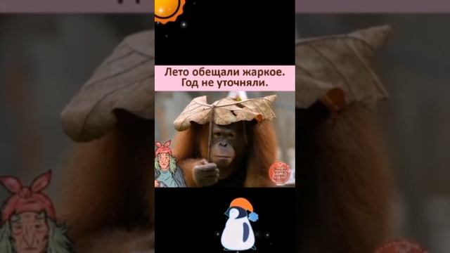 Коротко о погоде в Москве☔ХОЛОДРЫГА🥺