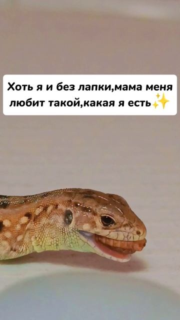Она такая милая❤️🥹