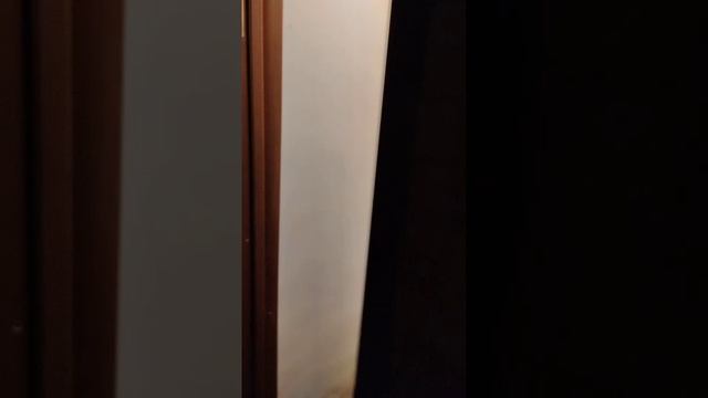 WhatsApp Video 2025-06-17 at 18.00.37