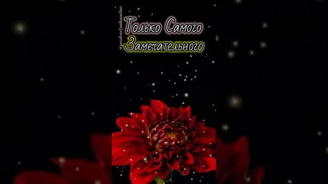 С днём рождения Бабушка