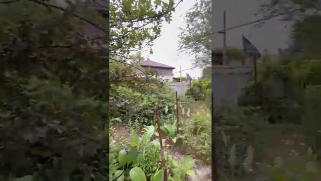 1000275488.mp4