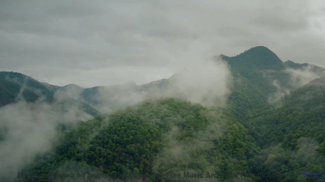Музыка растекается по телу быстрее любого напитка - (Thank God For This) Lightness of Being -- Siddh