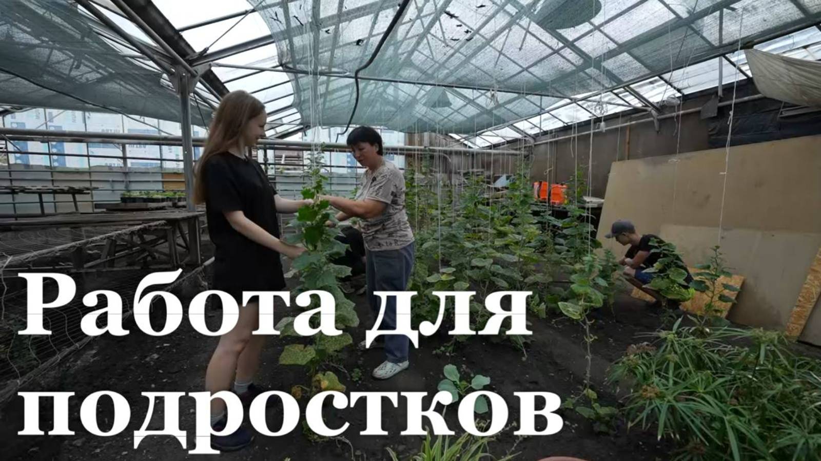 Подростки Республики могут официально трудоустроиться на время летних каникул