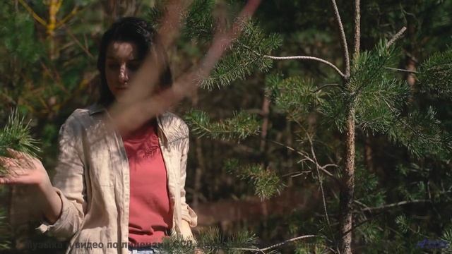 Почему это видео вызывает такие сильные эмоции - Beside the Lioness -- One Man Book -- Ghosts + Echo