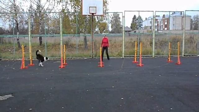 Вентури, барьеры 4 октября 2013 г