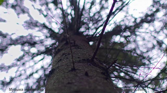 Это место создано для любви - а эта музыка станет вашим саундтреком! - Spelunking -- Kirk Osamayo --