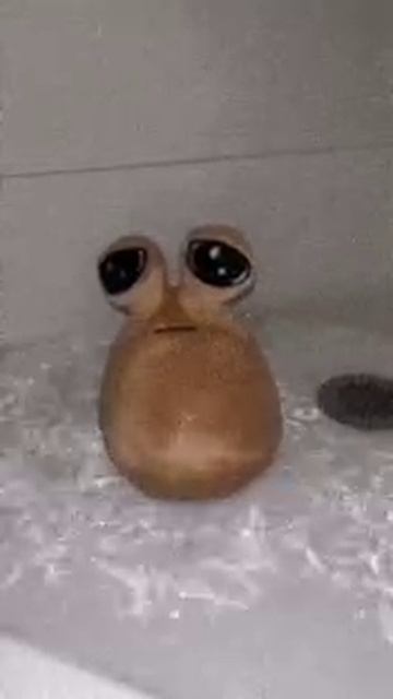 1000005605.mp4