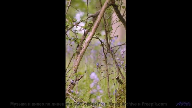 Когда дорожные знаки менее важны, чем её смех под эту песню - Over-Soul -- Evan Schaeffer -- Afterth