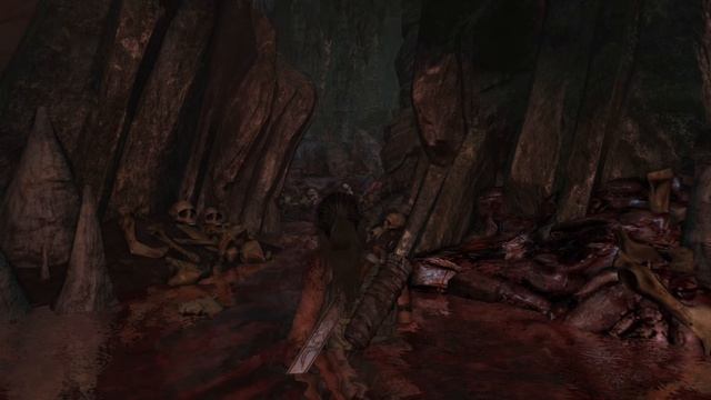 Tomb Raider 2013 [PS5 Pro]