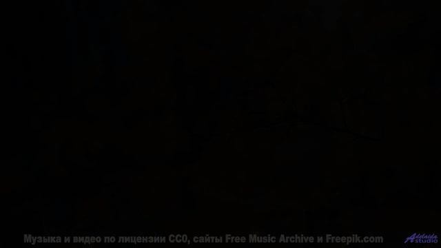 Сердце рвётся наружу, когда ритм совпадает с кадрами - Look Around -- Derek Clegg -- Faces (re-relea